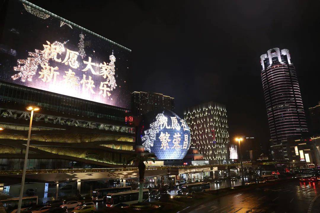 龙腾猫跃彩蝶飞，徐汇的新年夜景华彩纷呈