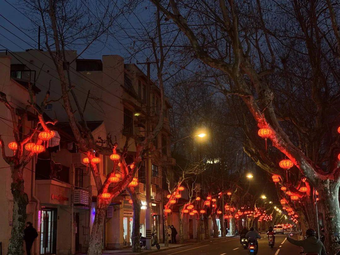 龙腾猫跃彩蝶飞，徐汇的新年夜景华彩纷呈