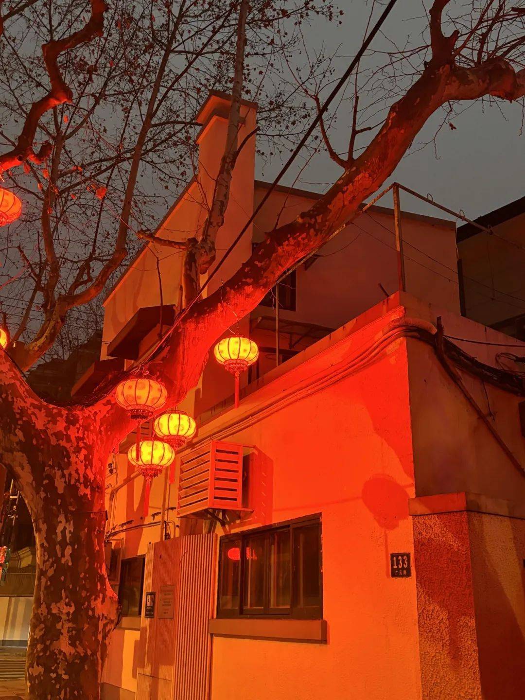 龙腾猫跃彩蝶飞，徐汇的新年夜景华彩纷呈