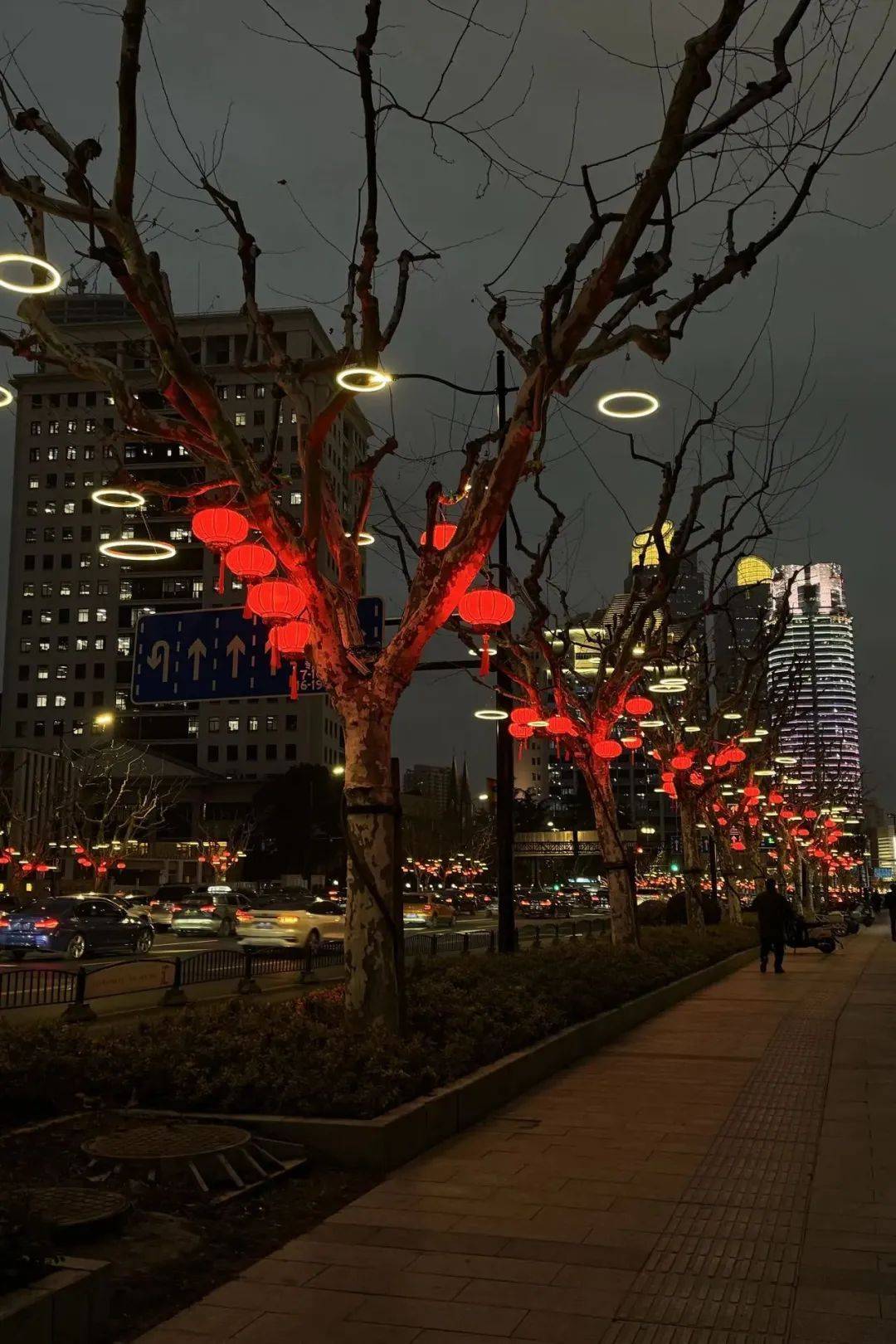 龙腾猫跃彩蝶飞，徐汇的新年夜景华彩纷呈