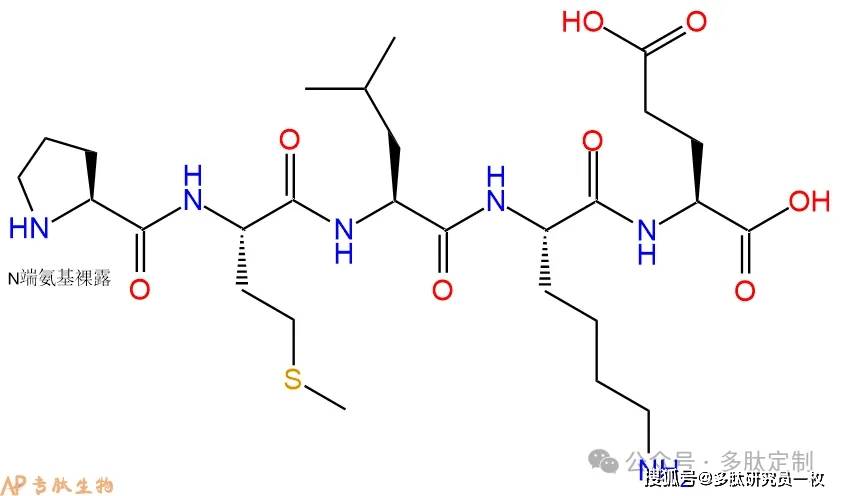 抑制Bax蛋白易位到线粒体的肽类抑制剂，579492-83-4，PMLKE
