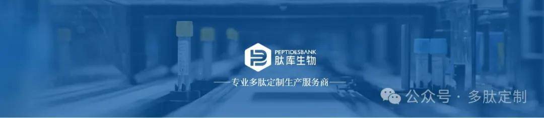 抑制Bax蛋白易位到线粒体的肽类抑制剂，579492-83-4，PMLKE