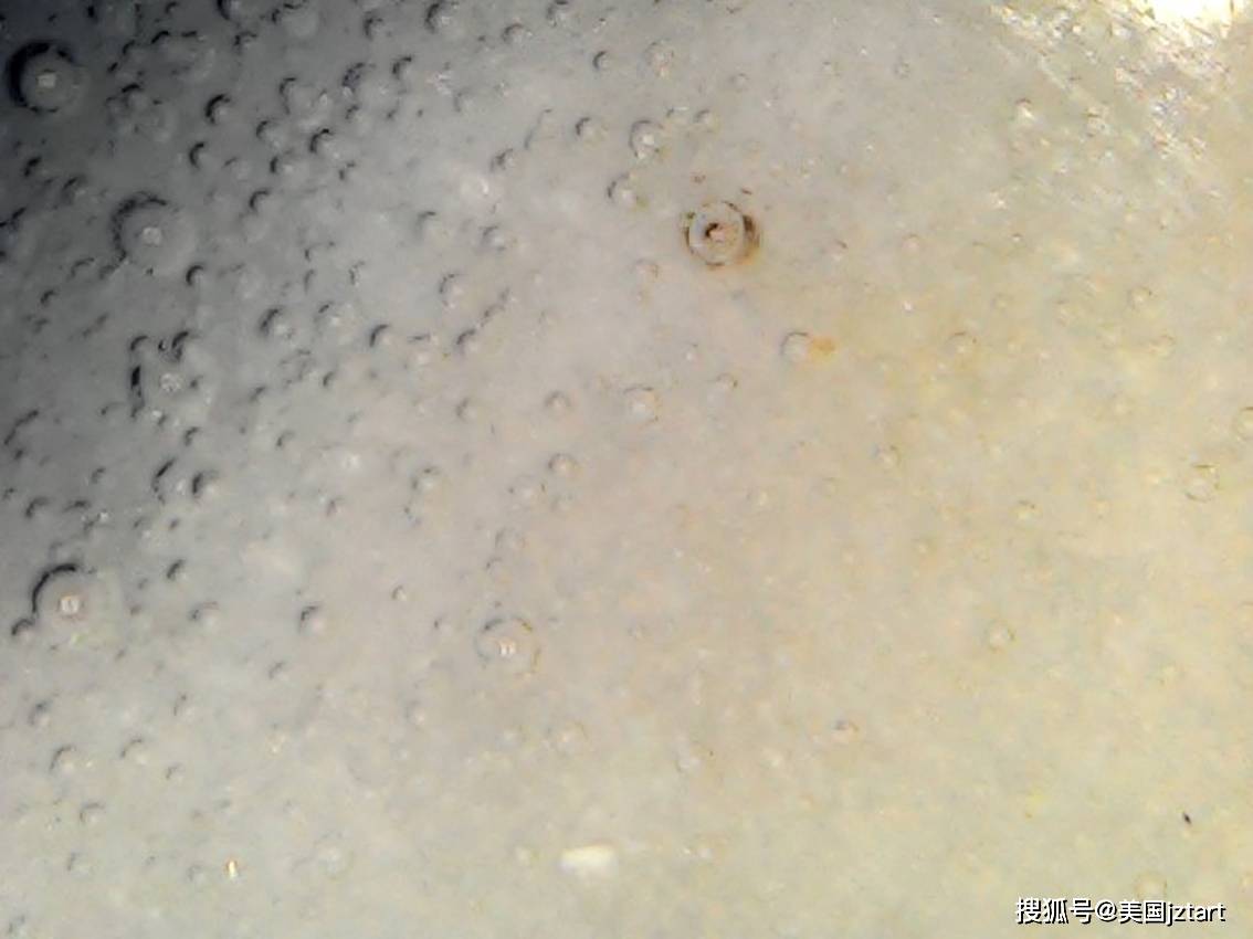 罕见/旦月阁珍藏霁蓝釉暗刻白龙纹玉壶春瓶