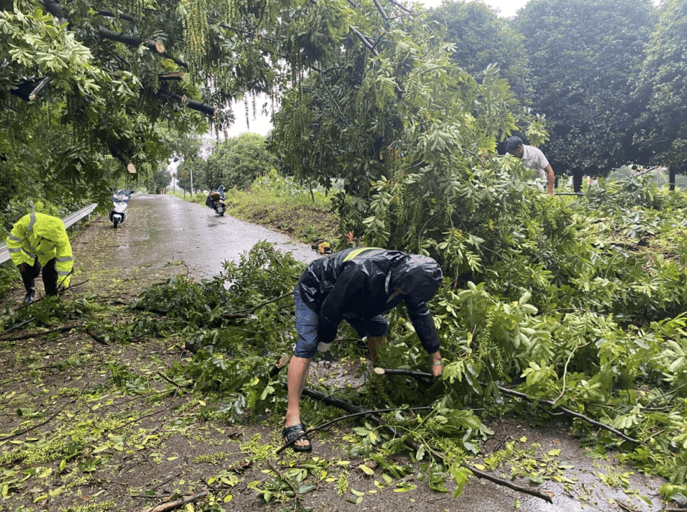 湖南浏阳：拉紧为民“安全网” 防汛一线显担当