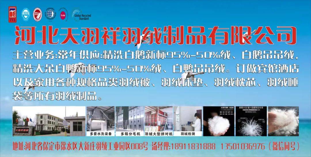 【金网发布】2024年6月20日羽绒价格行情 Price of Down on June 20th, 2024