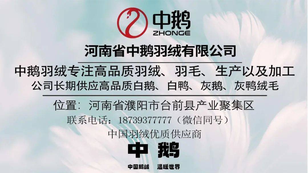 【金网发布】2024年6月20日羽绒价格行情 Price of Down on June 20th, 2024