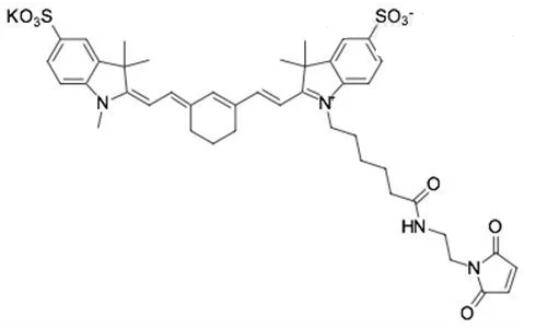 DiSulfo-Cyanine7 MAL可以用于蛋白质的标记和追踪，2183440-59-5